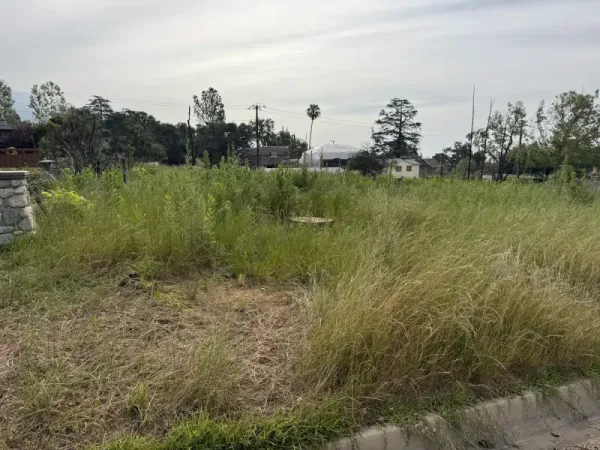 Overgrown vacant lot in Altadena with tall grass and weeds for multi-unit fire rebuild project