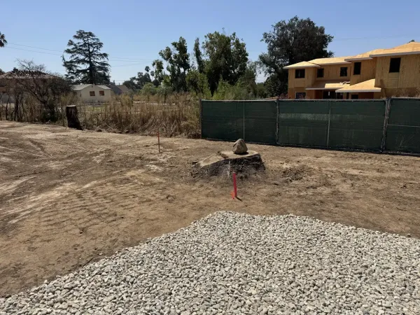Tree stump marked with a survey stake and orange flag, preserved within the cleared construction zone for grading reference during site work. New lumber-framed multi-unit structure visible on adjacent parcel shows neighboring fire rebuild progress.