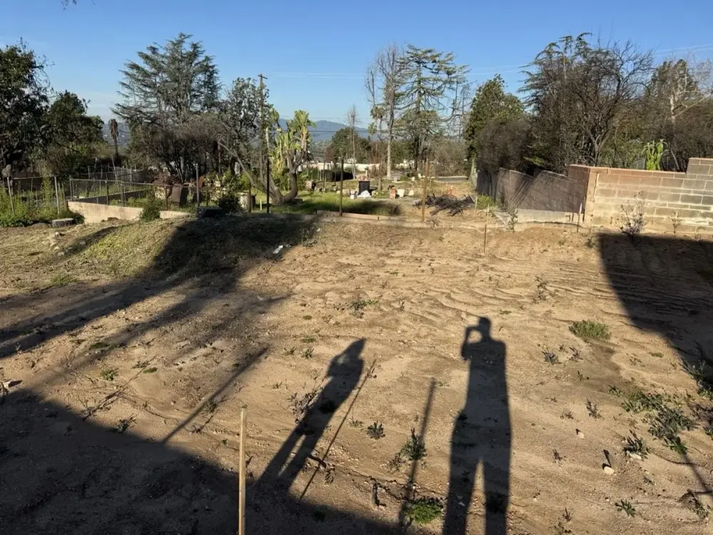 Graded Altadena lot ready for development with mature trees and drainage pattern assessment