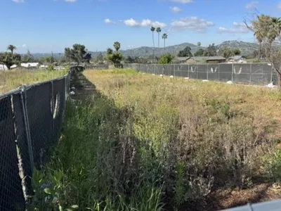 Altadena residential lot with palm trees showing slope and natural drainage conditions